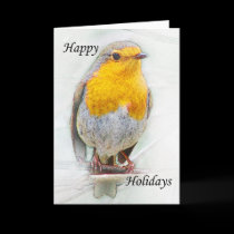 A Robin Christmas Card
