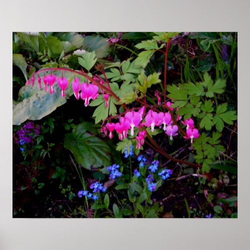 A Romantic Flower Poster zazzle_print