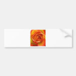 A Rose by any other name Bumper Stickers