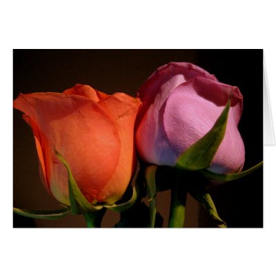 A Rose Couple by beverlytazangel
