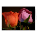 A Rose Couple cards