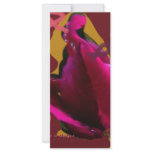 a rose for cansor rack cards