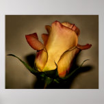 A rose for you print