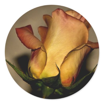 A rose for you sticker by mrsrnj