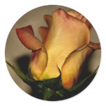 A rose for you sticker