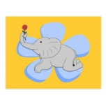 A Rose from a Baby Elephant Postcard