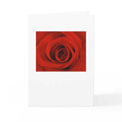 A Rose- I Miss You Greeting Card by Living_Your_Faith