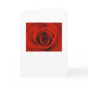A Rose- I Miss You cards
