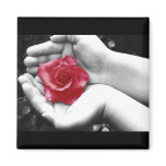 A Rose in the Hand 2 Refrigerator Magnets