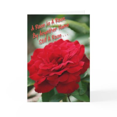 A Rose Is A Rose Card by FNolan