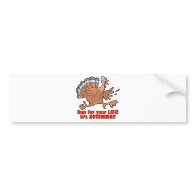 a run for life funny turkey bumper sticker by doonidesigns