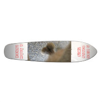 A SACK LUNCH SKATEBOARD DECKS