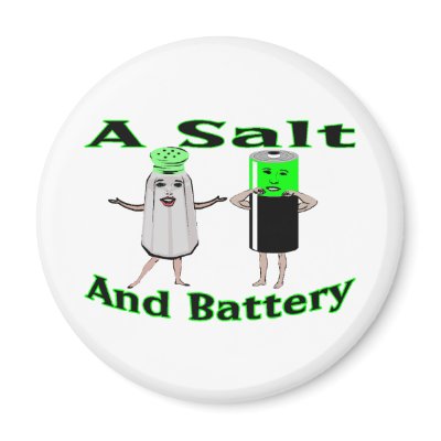 A Salt And Battery Magnets by goldnsun
