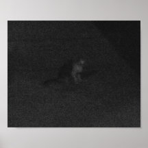 A Scared, Lonely Cat on Tahquitz Canyon Boulevard Posters