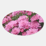 A Sea of Pink Chrysanthemums #2 Oval Sticker