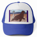 A Seal Friend Hat