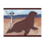 A Seal Friend Post Card