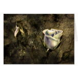 A Semblance of Yearning Greeting Cards