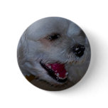 A Sense Of Humour Button