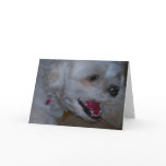 A Sense Of Humour Cards
