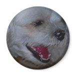 A Sense Of Humour magnets