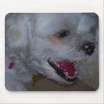 A Sense Of Humour Mouse Pad