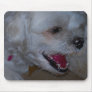 A Sense Of Humour Mouse Pad
