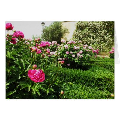 A Serene Rose Garden Greeting Card by foreverspring