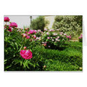 A Serene Rose Garden cards