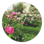 A Serene Rose Garden Round Sticker