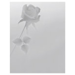 a silent single rose greys custom flyer