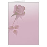 a silent single rose pink cards