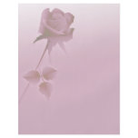a silent single rose pink flyers