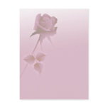 a silent single rose pink post cards