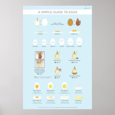 A simple (visual) guide to eggs poster by Culinaut