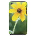 A Single Black Eyed Susan Ipod Case-mate Cases