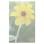 A Single Black Eyed Susan Personalized Stationery