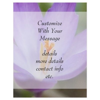 A Single Crocus Flower Flyer by Pretty_World