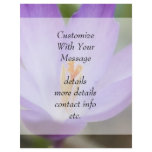 A Single Crocus Flower flyers