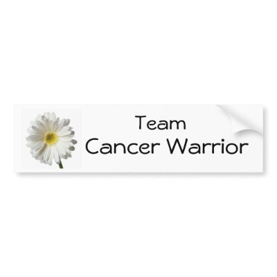 A Single Daisy for you and the Cancer Warrior Bumper Sticker by susan52z