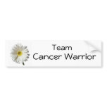 A Single Daisy for you and the Cancer Warrior bumper stickers