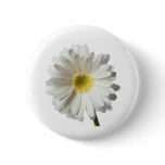 A Single Daisy for you and the Cancer Warrior Pinback Buttons