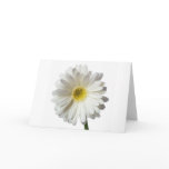 A Single Daisy for you and the Cancer Warrior Card