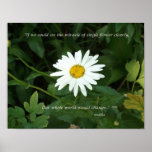 A single flower posters