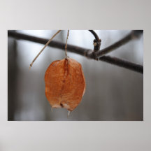 A Single Leaf Posters