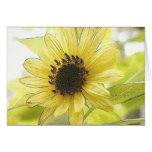 A Single Lemon Yellow Sunflower Card