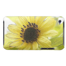 A Single Lemon Yellow Sunflower iPod Case-Mate Case
