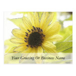 A Single Lemon Yellow Sunflower Postcards