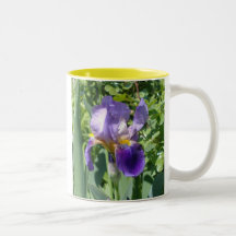 a single perfect iris mug