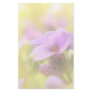 A Single Purple Rock Cress Flower Custom Stationery
